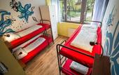 Туры в отель Island Hostel - Adults only