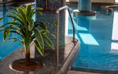 Туры в отель Hotel Golden Palace