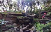 Туры в отель Sari Ater Kamboti Hotel Bandung