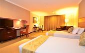 Туры в отель Sari Ater Kamboti Hotel Bandung