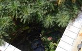 Туры в отель Sari Ater Kamboti Hotel Bandung