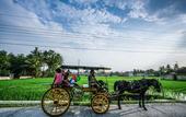 Туры в отель d'Omah Hotel Yogya