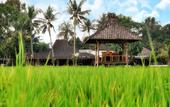 Туры в отель d'Omah Hotel Yogya