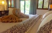 Туры в отель d'Omah Hotel Yogya