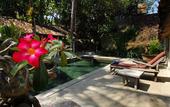 Туры в отель d'Omah Hotel Yogya