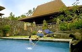 Туры в отель The Cangkringan Jogja Villas & Spa