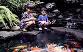 Туры в отель Eastparc Hotel Yogyakarta