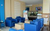 Туры в отель Hotel Brothers Solo Baru