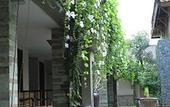 Туры в отель Rumah Batu Boutique Hotel