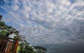 Туры в отель Villa Borobudur Resort
