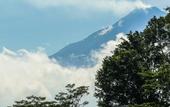 Туры в отель Villa Borobudur Resort