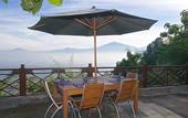 Туры в отель Villa Borobudur Resort