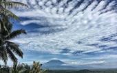 Туры в отель Villa Borobudur Resort