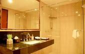 Туры в отель Lion Hotel & Plaza