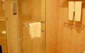 Туры в отель Lion Hotel & Plaza