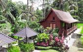 Туры в отель BeingSattvaa Luxury Ubud
