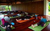 Туры в отель BeingSattvaa Luxury Ubud