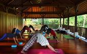 Туры в отель BeingSattvaa Luxury Ubud