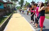 Туры в отель BeingSattvaa Luxury Ubud