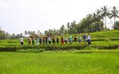 Туры в отель BeingSattvaa Luxury Ubud