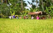 Туры в отель BeingSattvaa Luxury Ubud
