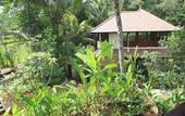 Туры в отель BeingSattvaa Luxury Ubud