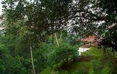 Туры в отель BeingSattvaa Luxury Ubud