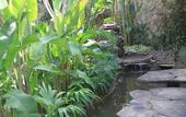 Туры в отель BeingSattvaa Luxury Ubud