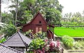 Туры в отель BeingSattvaa Luxury Ubud