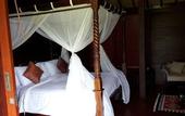 Туры в отель BeingSattvaa Luxury Ubud