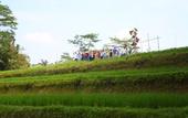 Туры в отель BeingSattvaa Luxury Ubud