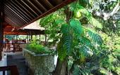 Туры в отель BeingSattvaa Luxury Ubud