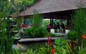 Туры в отель BeingSattvaa Luxury Ubud