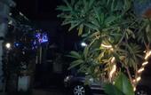 Туры в отель OYO 90078 The Bali Rama City Hotel
