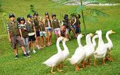 Туры в отель Padma Hotel Bandung
