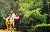 Туры в отель Padma Hotel Bandung