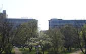 Туры в отель Mercure Budapest Castle Hill