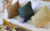 Туры в отель Mercure Budapest Castle Hill