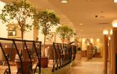 Туры в отель Mercure Budapest Castle Hill