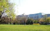 Туры в отель Mercure Budapest Castle Hill