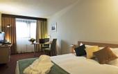 Туры в отель Mercure Budapest Castle Hill