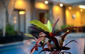 Туры в отель ILLIRA Lite Praya Lombok