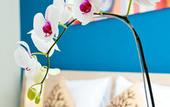 Туры в отель The Salak Hotel