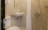 Туры в отель Horison Inn Laksana Solo