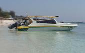 Туры в отель The Princess Of Mentigi Bay