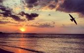 Туры в отель Rinjani Beach Eco Resort