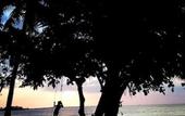 Туры в отель Rinjani Beach Eco Resort
