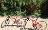 Туры в отель Rinjani Beach Eco Resort
