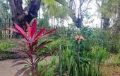 Туры в отель Rinjani Beach Eco Resort