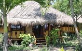 Туры в отель Rinjani Beach Eco Resort
